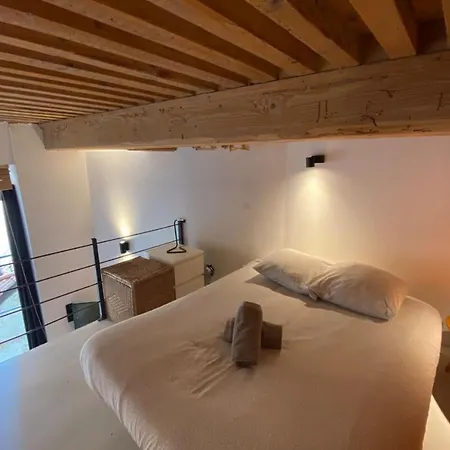 Charming Apartment With Exposed Beams Ainay District Lyon Exterior photo