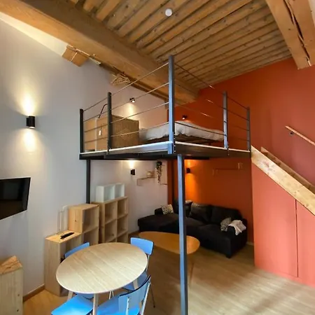 Charming Apartment With Exposed Beams Ainay District Lyon Exterior photo
