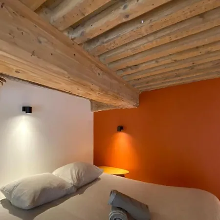 Charming Apartment With Exposed Beams Ainay District Lyon Exterior photo